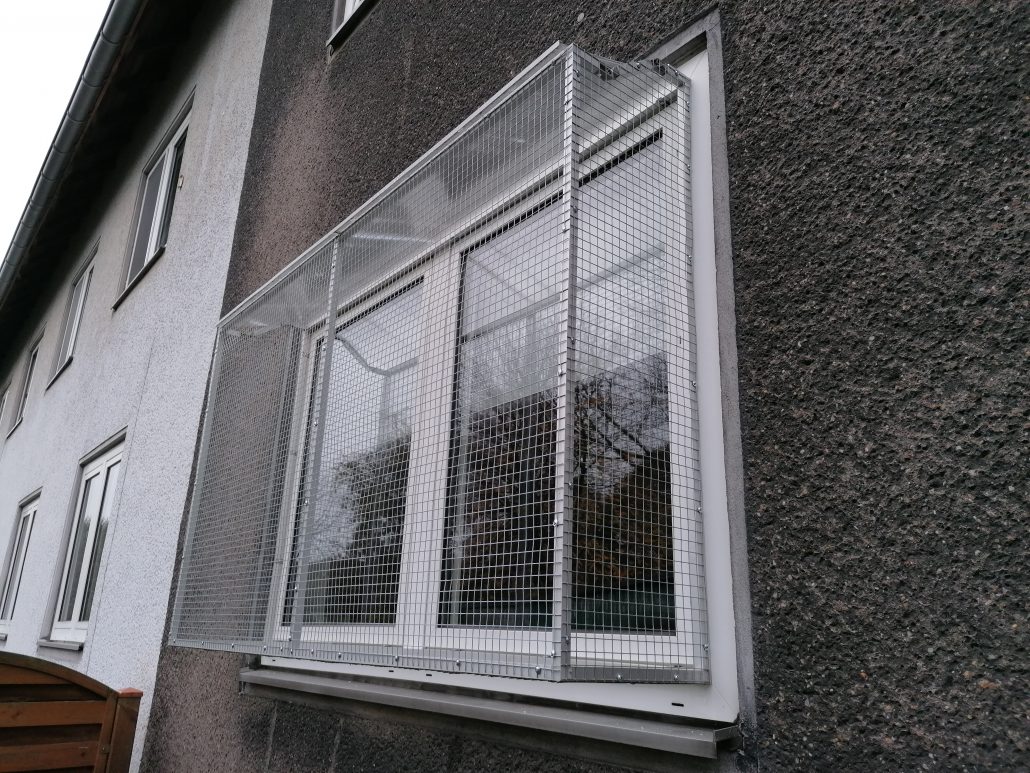 Fenster mit Katzenschutzgitter für mehr Sicherheit