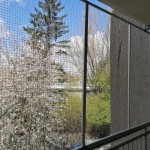 Stabiles Katzennetz f&uuml;r Balkon. Sicherer Auslauf f&uuml;r Wohnungs-Katzen durch Balkongitter, Balkonschutznetz.