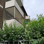 Katzen-Sicherheitsnetz am Balkon. Haus-Ansicht nach Fertigstellung. Unsichtbare Montage eines Balkonnetzes, Katzenschutz-Gitters an einer Etagenwohnung.