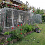 Katzengitter f&uuml;r sicheren Auslauf im Garten, Montage durch Fach-Firma aus D&uuml;sseldorf, NRW. Katzennetz f&uuml;r Terrasse und Wintergarten. Gro&szlig;es Katzengitter, Schutznetz f&uuml;r Katzen f&uuml;r Freigang im Garten.